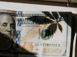 Cathie Wood’s $40 Million Exit – What’s She Seeing That We’re Not?