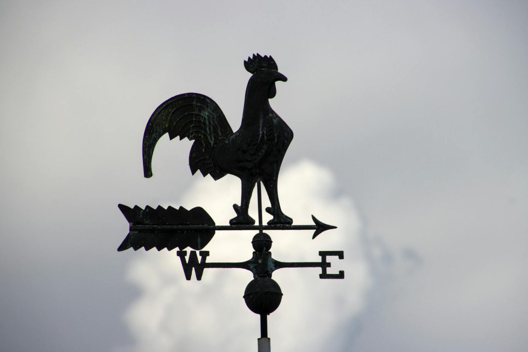 Forbs West Discusses His Music Industry Journey and Aspirations