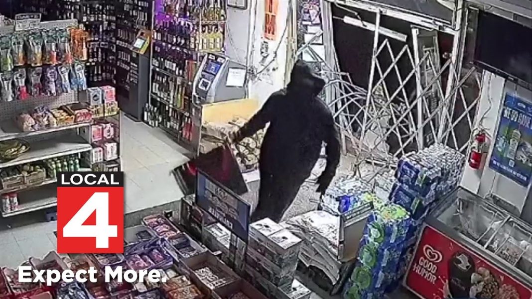 Suspects filmed smashing into Livonia store. Watch the video! (Video)