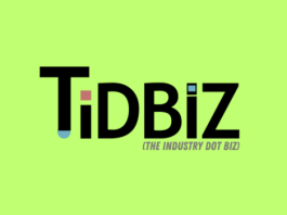 Ireland’s Guaranteed Income Program: A Game Changer for Artists?